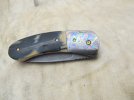 mammoth front flipper 025.JPG
