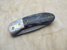 mammoth front flipper 021.JPG