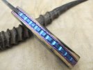 mammoth front flipper 020.JPG