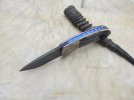 mammoth front flipper 016.JPG
