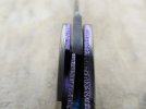 mammoth front flipper 012.JPG