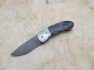 mammoth front flipper 001.JPG