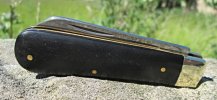 AW Ebony Lambsfoot 9-4.JPG AW Ebony Lambsfoot 9-4.JPG