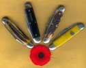 35 Church Poppy.jpg