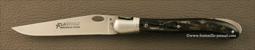 xlaguiole-nature-single-hand-range-dark-ram-horn.jpg.pagespeed.ic.N2vPAKCR1z.jpg