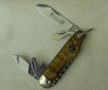 Boker140thScout013-1.jpg