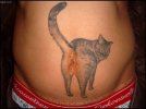 Cat tatoo.jpg