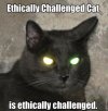 ethically challenged cat.jpg