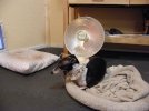 2009_01090035.jpg