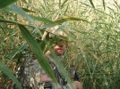 Me Bush 1.jpg