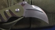 Tiger Attack Karambit Pics 004.jpg