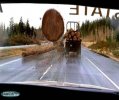 log.jpg