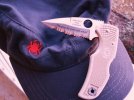 spyderco oif 3.JPG
