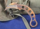Tigerambit Trainer Pics 002.jpg