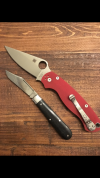 B401CADA-F9F9-4987-95D2-942972C2EE43.png
