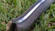 thumbnail_Screenshot_2017-08-27-20-36-14.jpg thumbnail_Screenshot_2017-08-27-20-36-14.jpg