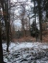 7DDA937A-A57C-4831-8F65-A5F5D769E0F6.jpeg