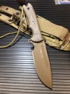 451 coyote.jpg