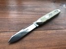 gec54.jpg