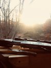 15130494-BD22-4A07-BAD5-FF9368C73271.jpeg
