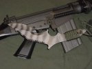 tiger-fn.jpg
