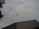 b day balloons over shop.jpg