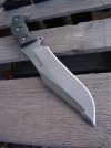 harpoon tipped sh variant 2.jpg