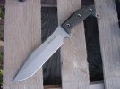 sh bowie variant.jpg