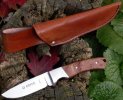 boker integral.jpg