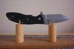 Gerber-Hinderer FIRESTORM.jpg