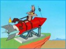 wile e coyote.jpg