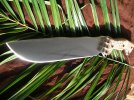 Busse FBM LE # 728 001.jpg