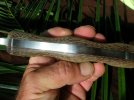 Busse FBM LE # 728 003.jpg