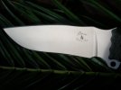 Busse SOW 07 SE 003.jpg