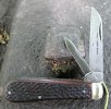 Needham Lambsfoot Jack 5-2.JPG