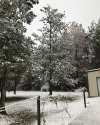 55343E44-9C14-4036-B192-41387E8F543D.jpeg