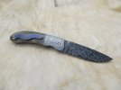 mammoth folder 014.JPG