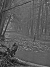 7D47EAA8-4518-4DFF-B284-F564C26643B3.jpeg