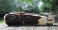 A.Wright Small Swayback Sambar Lambsfoot 1-3.JPG