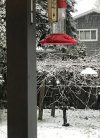 CAFFC083-5933-47DE-9911-C615CF5E4F66.jpeg