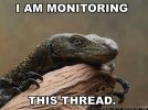 Monitor.jpg