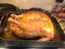 IMG_1584.JPG