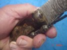 DSC07408.JPG