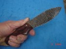DSC07434.JPG