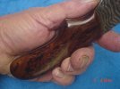 DSC07436.JPG