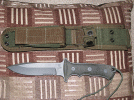 CRK3f.gif