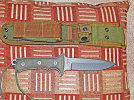 CRKGB2back.gif