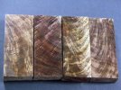 walnut.jpg