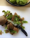 Kiwi_A_122417.jpg