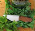 Chef's Special 2-3S.JPG